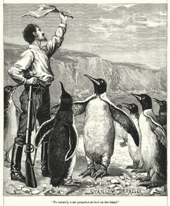 Felizmente alguns pinguins chegaram na ilha